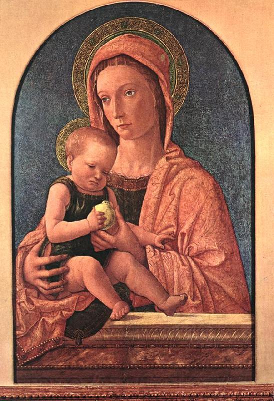 BELLINI, Giovanni Madonna and Child du7